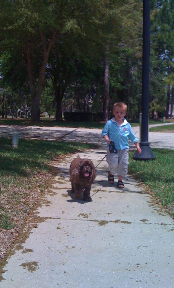 Ronan walking Patton