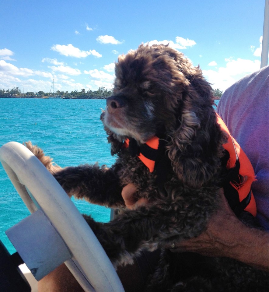 Driving the dinghy, Bahamas