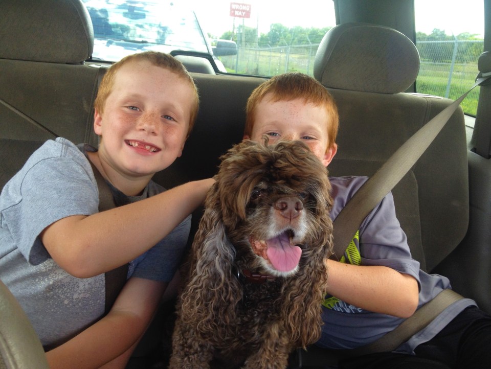 Ronan, Patton and Ryan