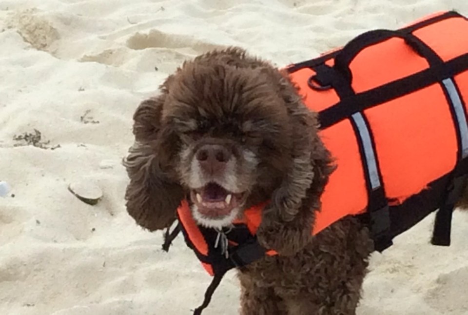 Patton, Big Majors, Bahamas