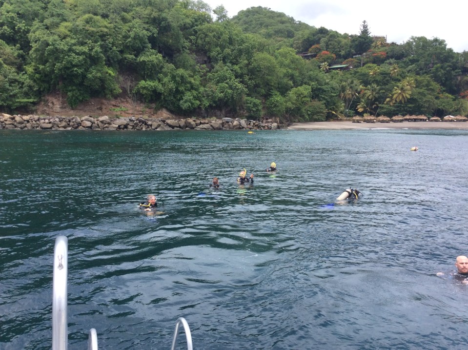 Diving Turtle Reef, St. Lucia