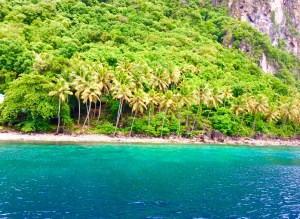 The base of the Pitons, St. Lucia