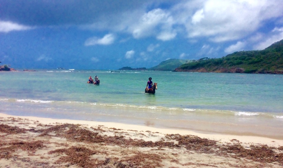 Horseback riding in the sea on the northeast coast of St. Lucia hike