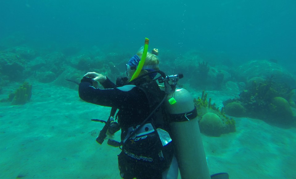 Theresa, diving in St. Lucia (2017)