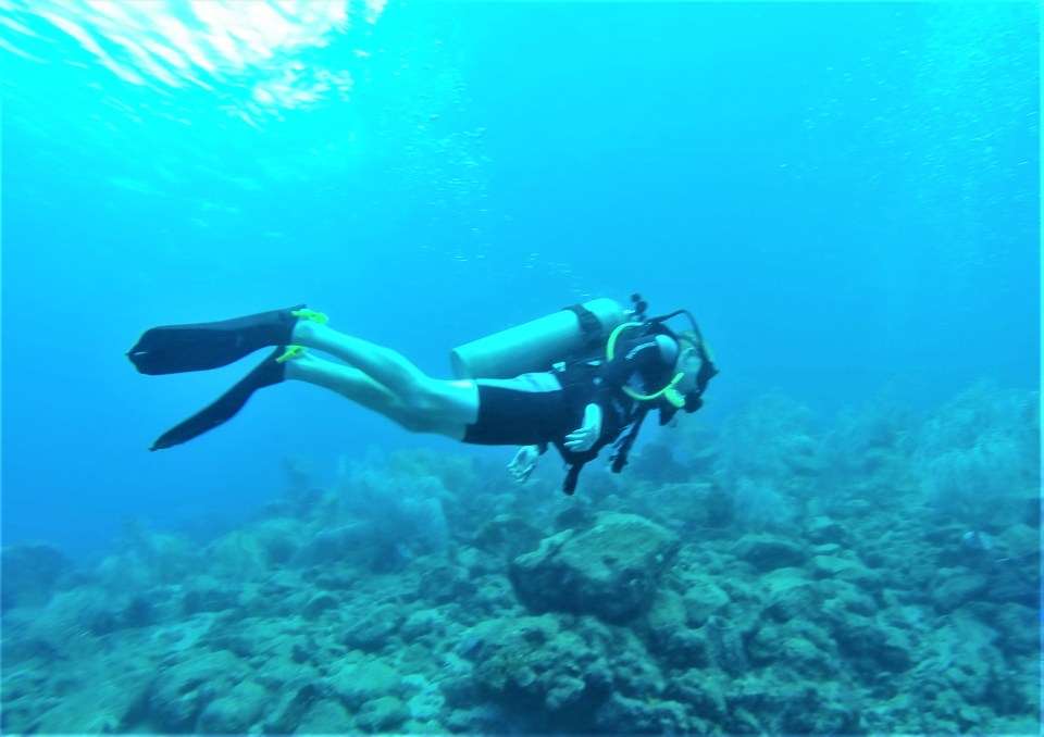 Ryan scuba diving in St. Lucia (Jan. 2018)
