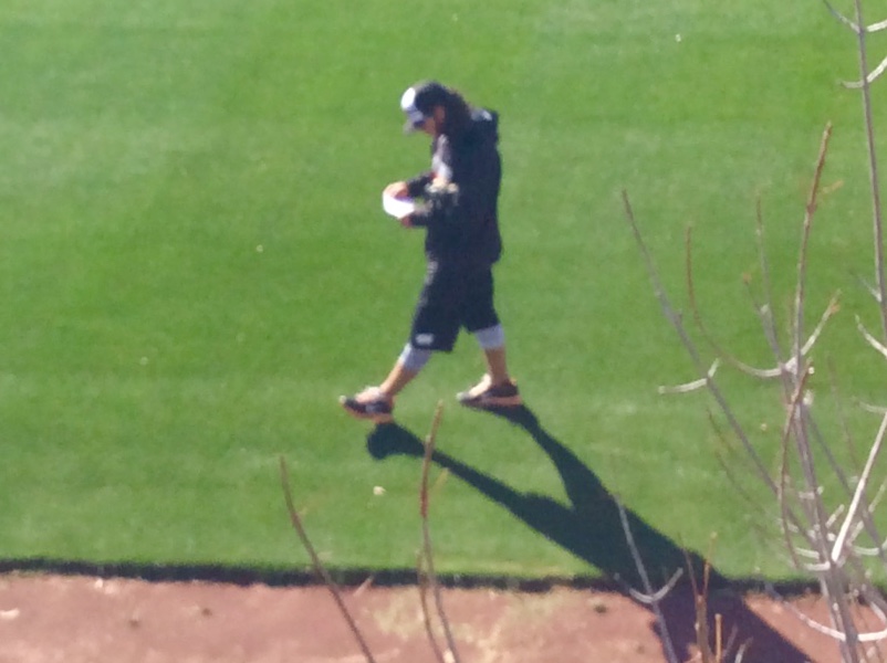 Brandon Crawford