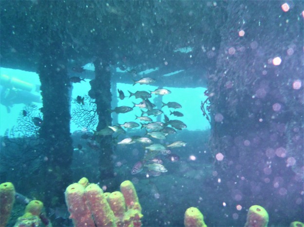The bridge of the Lesleen M Wreck in St. Lucia (Jan. 2018)