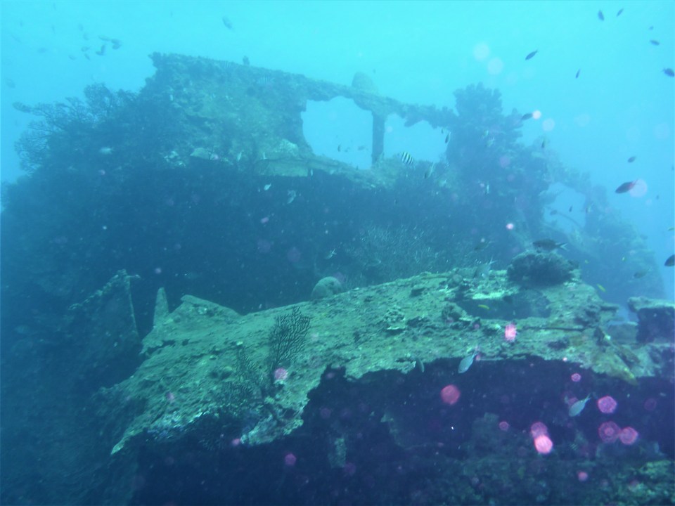 Lesleen M Wreck in St. Lucia (Jan. 2018)