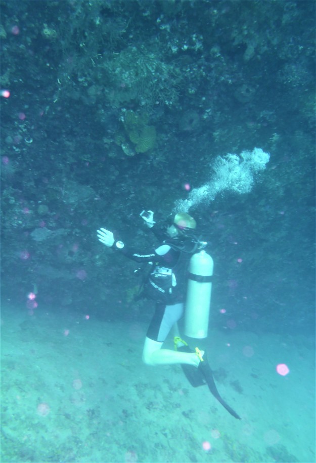 Ryan photographing the Lesleen M Wreck in St. Lucia (Jan. 2018)