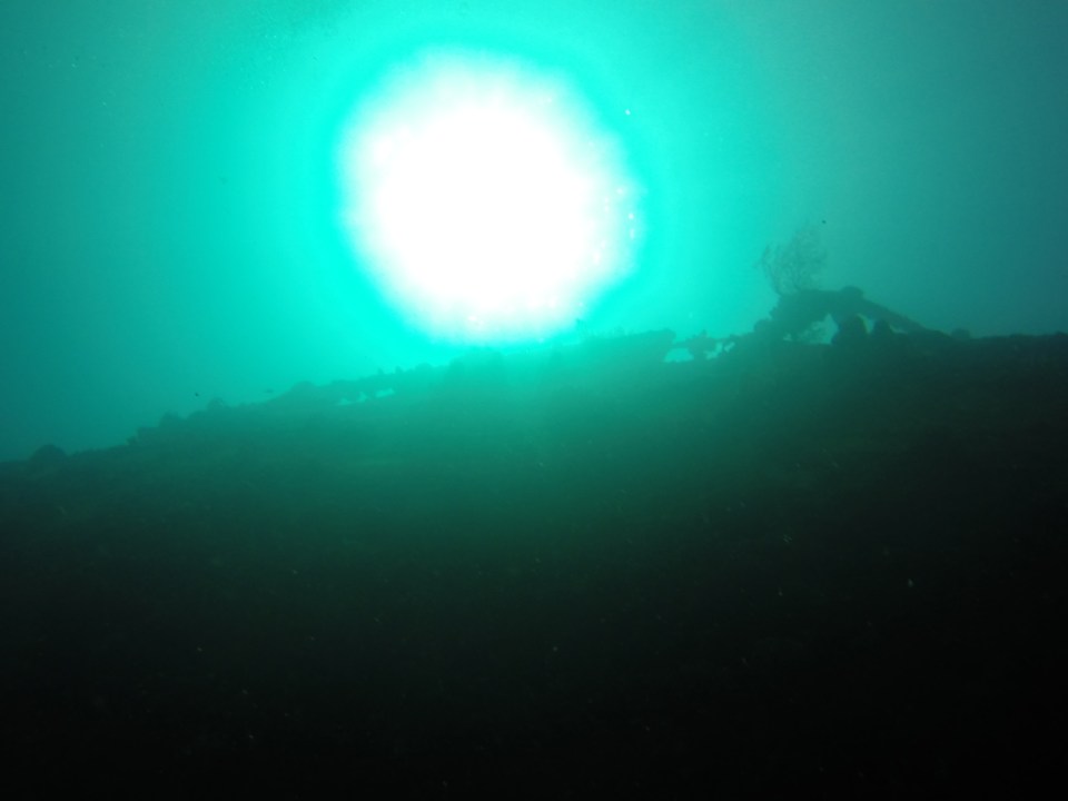 Lesleen M Wreck in St. Lucia - 65 ft below sea level looking up (Jan. 2018)