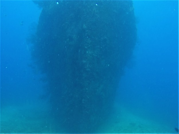 Lesleen M Wreck in St. Lucia - 65 ft below sea level - looking towards the bow (Jan. 2018)