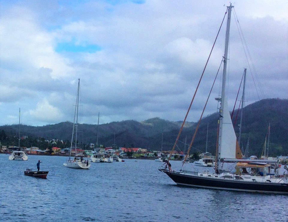PAYS member guiding sailboat to mooring, Portsmouth, Dominica (2018)