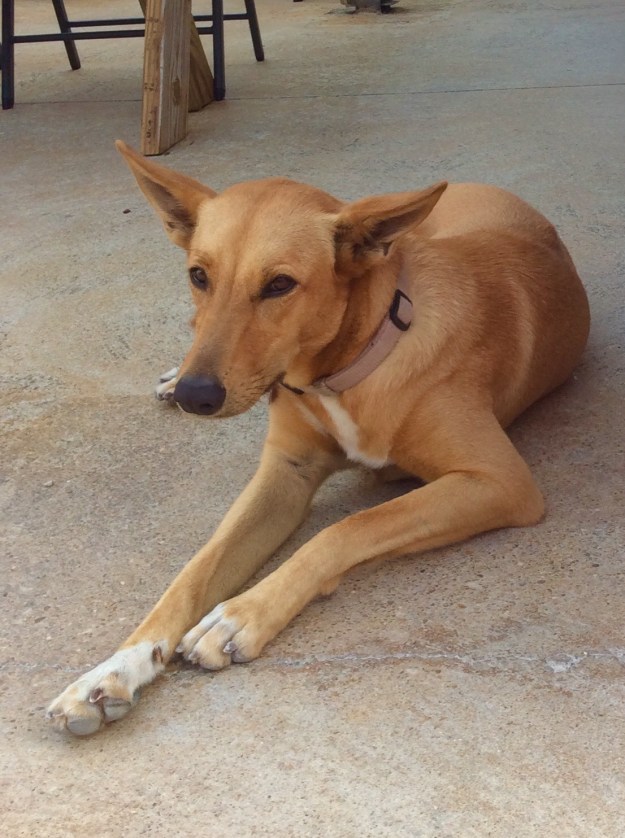 Southside Marina, Providenciales Turks & Caicos