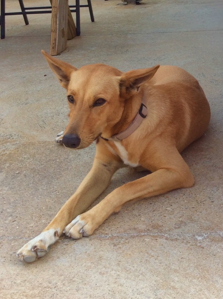 Southside Marina, Providenciales Turks & Caicos