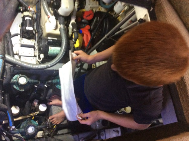 Use oil absorbent cloth to clean any drips and spills