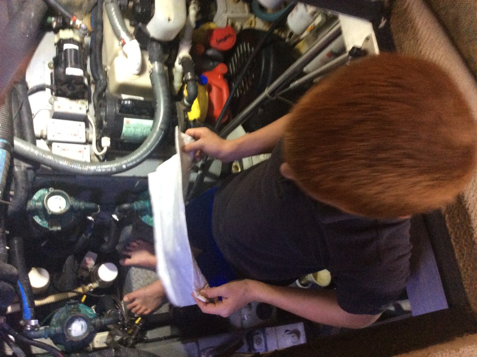 Use oil absorbent cloth to clean any drips and spills