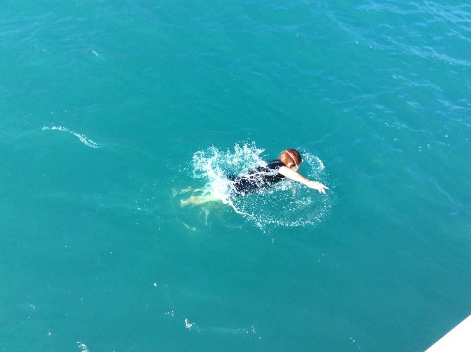 Ryan swimming out to dive the mooring ball, Francis Bay, St. John, U.S. Virgin Islands