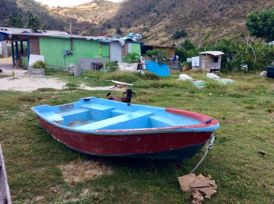 Great Harbor, Jost Van Dyke, BVIs (March 2018)
