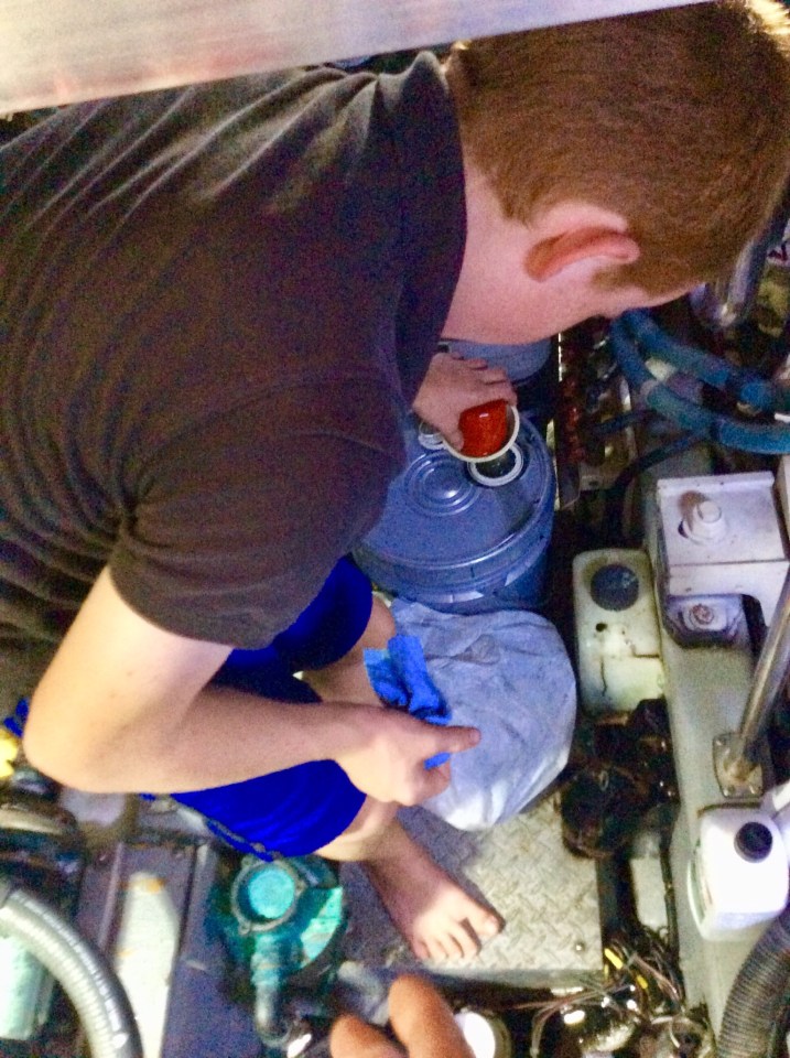 Drain oil out of old oil filter into secure receptacle