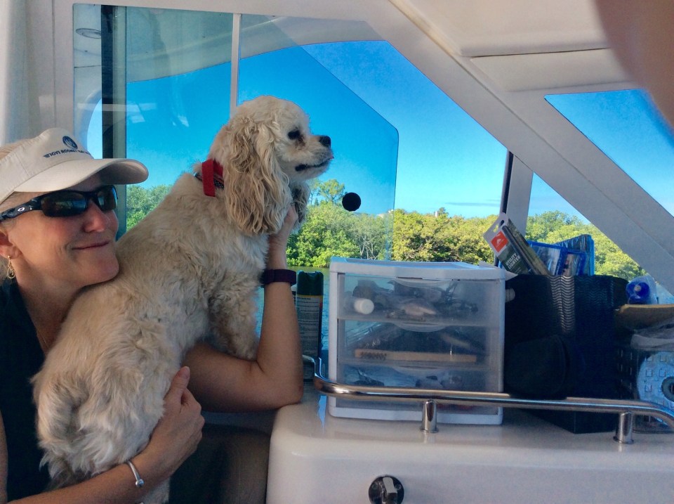 T & Marlow (Oct. 2019)