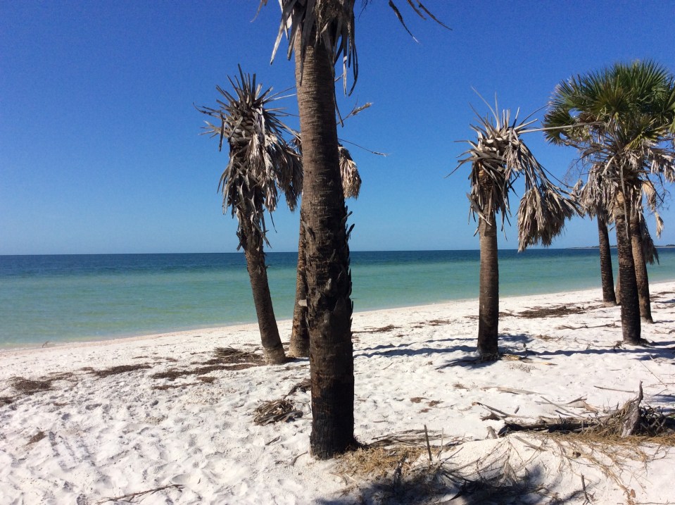Caladesi Island State Park, FL