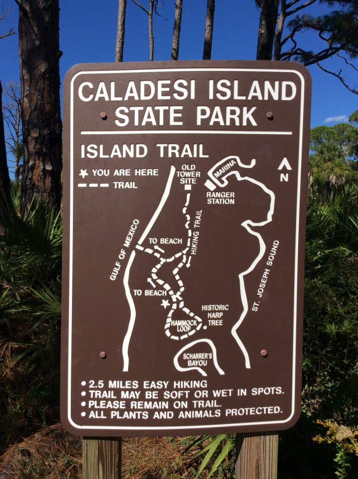Caladesi Island State Park Trail, FL (Oct. 2019)