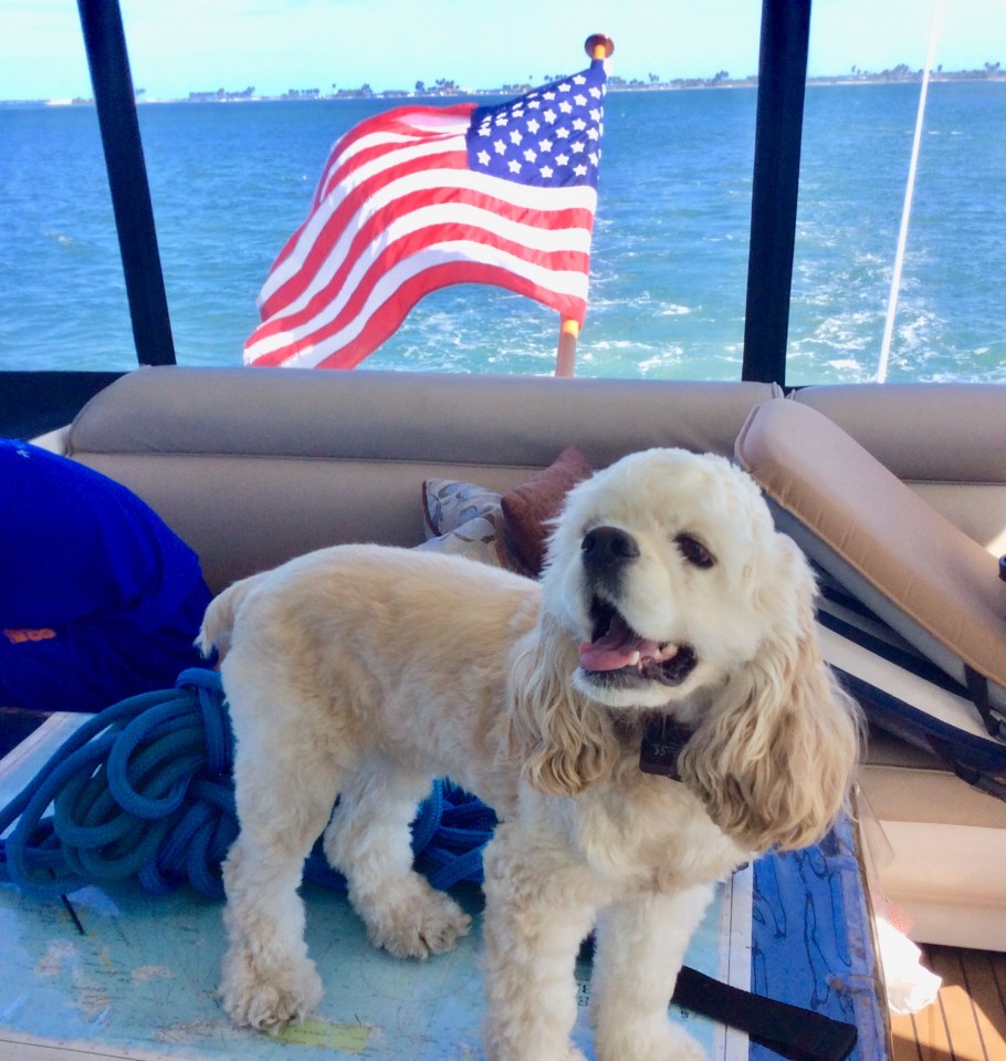 Marlow on the bridge (Oct. 2019)