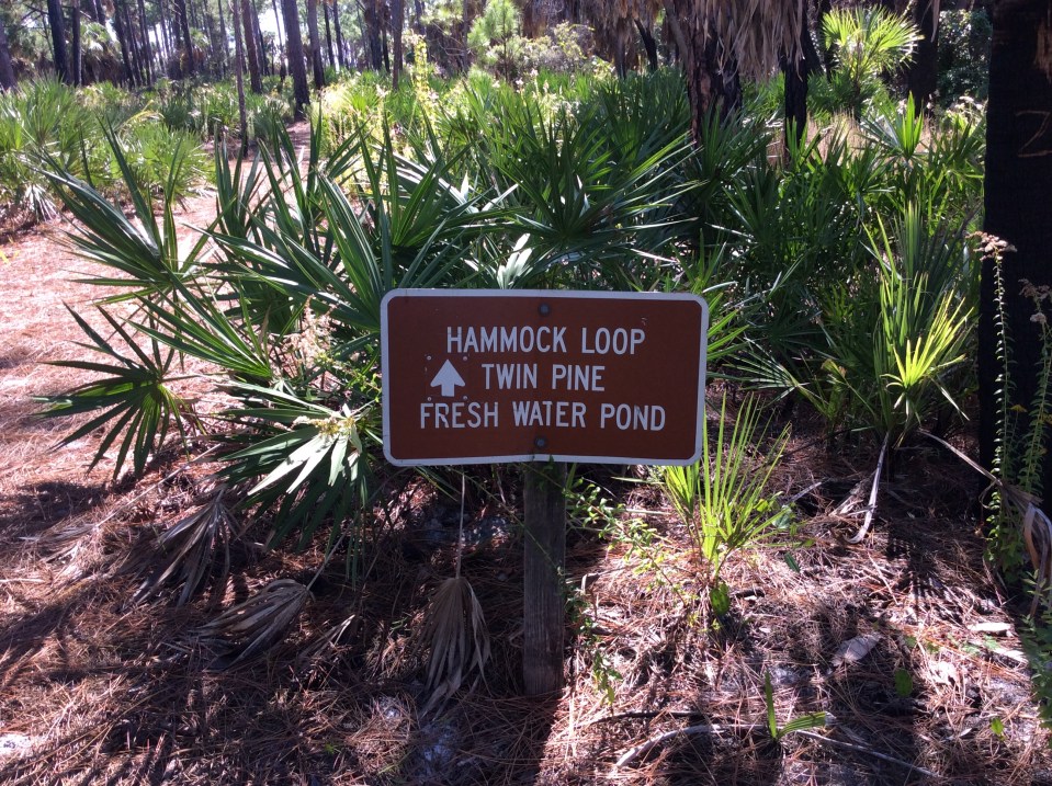 Caladesi Island State Park Trail, FL (Oct. 2019)