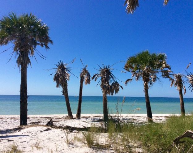 Caladesi Island State Park (Nov. 2019)