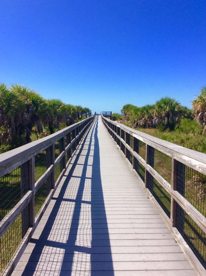Caladesi Island State Park (Nov. 2019)