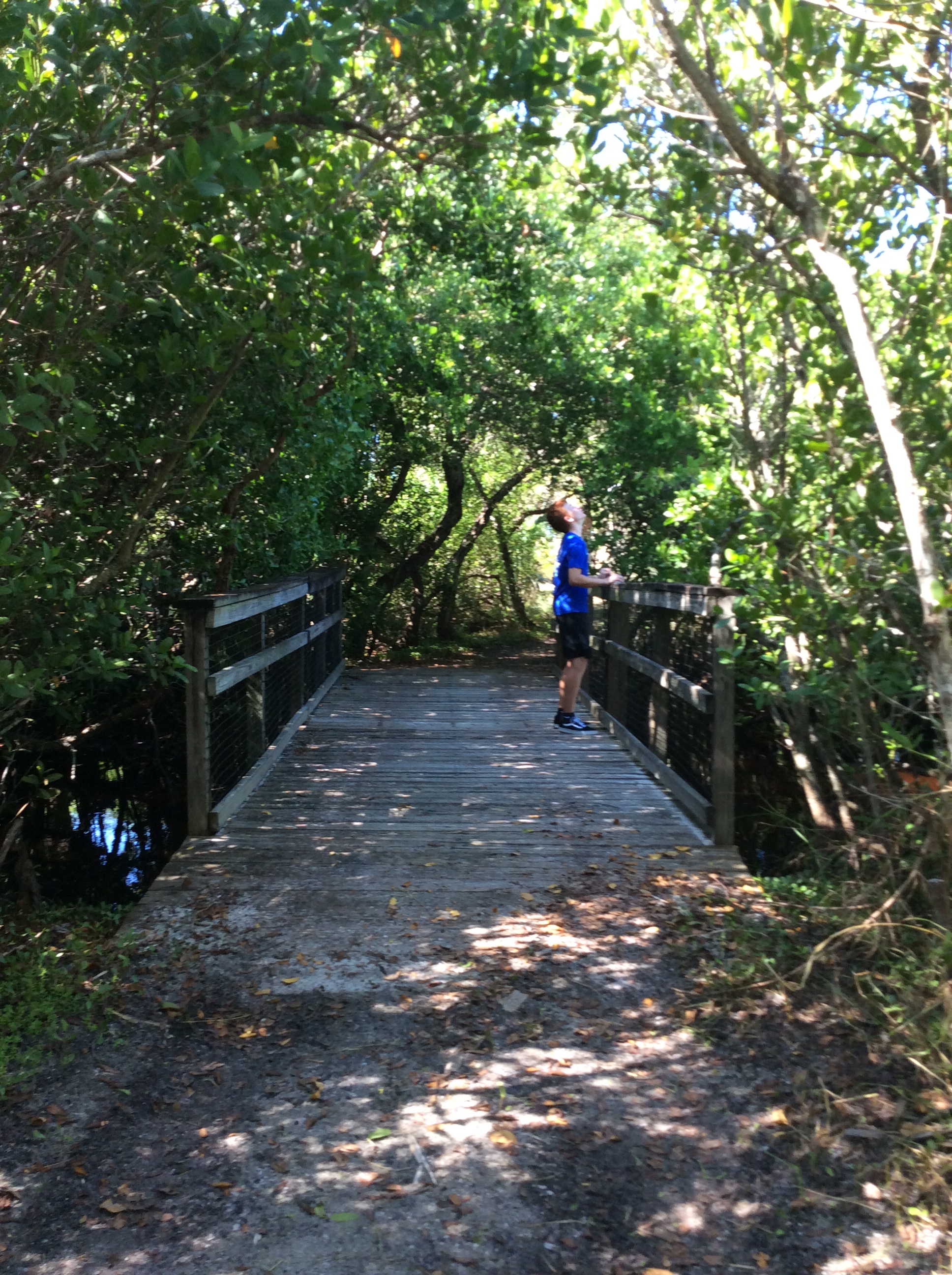 Ryan on the nature trail, Caladesi Island State Park (Nov. 2019)